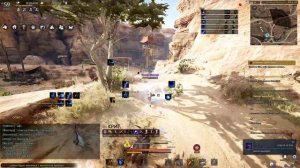 Black Desert Фурия , альтернативные скилы для пве