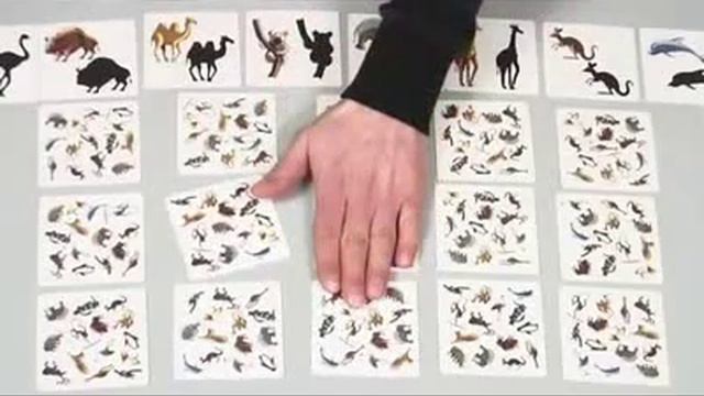 FR Panicozoo смотреть онлайн