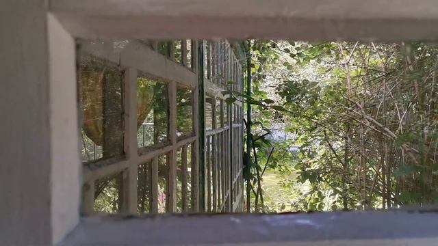 Остекление террасы вторыми стеклами смотреть онлайн