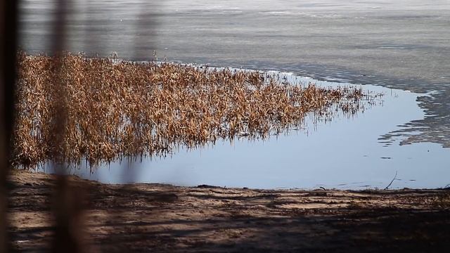 Canon 650d video sample смотреть онлайн