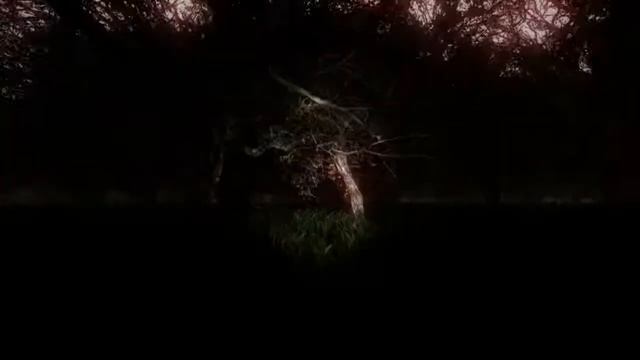 Survived прохождение, часть4 + бонус уровень смотреть онлайн