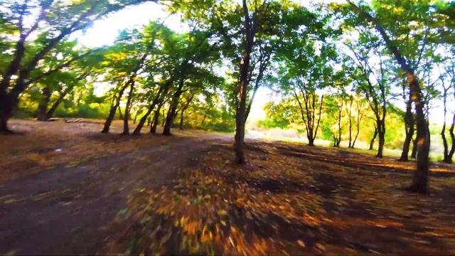 Нырок кувырок смотреть онлайн