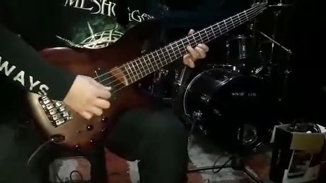 Prueba Ibanez SR505 смотреть онлайн
