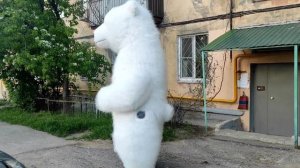 Я как Чан Норрис я очень круто!! Поздравление от белого медведя