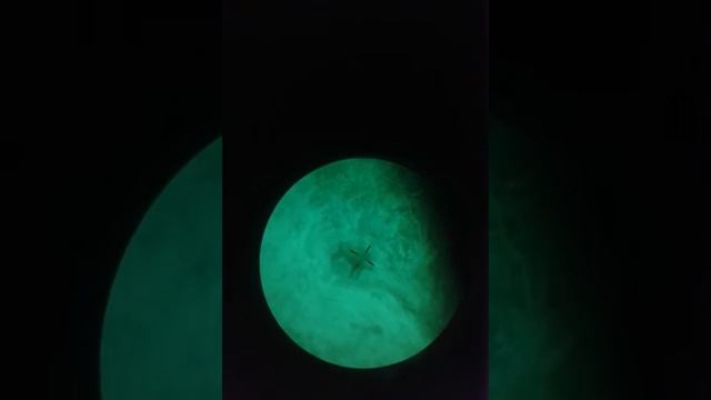 Охота на кабана два. Дедал 450с. смотреть онлайн