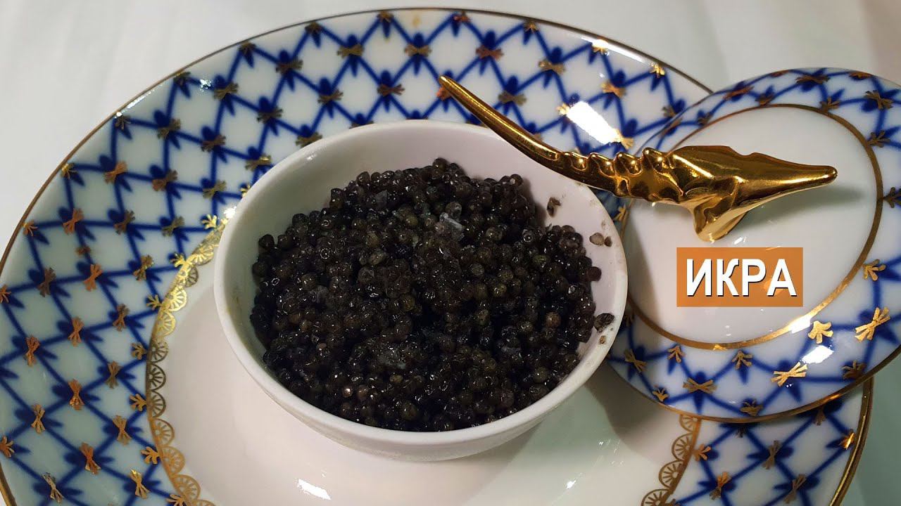 Черная икра. Икра забойная. Икра аквакультурная. Рыбная ферма Живой осетр