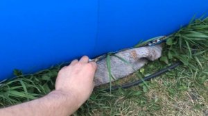 Какой бассейн лучше для дачи? Надувной или каркасный бассейн?