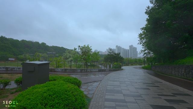 Relaxing Rain Walk In The Dream Forest And Nature Sounds | Seoul Walker 4K HDR