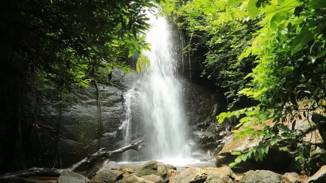 Beautiful soothing music for the soul and meditation смотреть онлайн