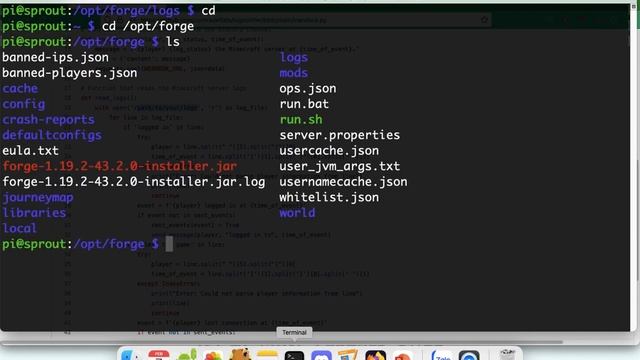 Using Python to send Discord Notifications from Raspberry Pi! смотреть онлайн