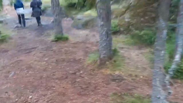 Пеший поход по Карельским лесам на Ястребиное озеро и Большие Скалы. смотреть онлайн