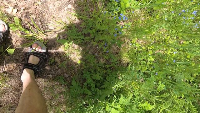 Входы в шахты Бештау