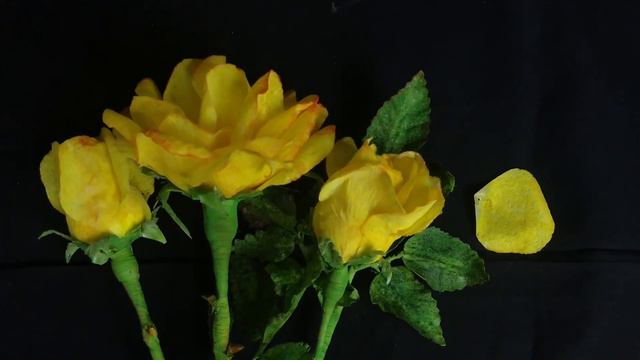 Wafer Paper Roses/How to make Wafer Paper Roses смотреть онлайн