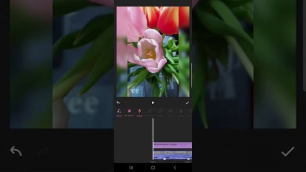 Изучаем программу Inshot и как в ней работать.
