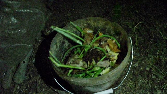 Чем кормить червей в домашних условиях. Подготовка корма для червей смотреть онлайн