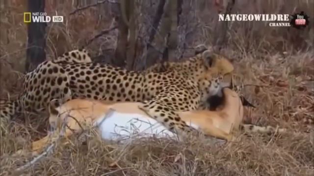 Когда удача улыбнулась смотреть онлайн