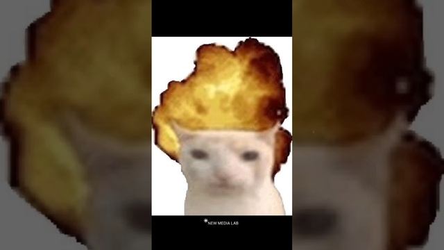 10 из 10 Финансовый Университет! #ДМКиМ #рсо #финашка #финансовыйуниверситет #отзывстудента