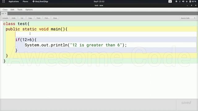 ICSE Java 8, 9, 10 : #7 if and else statement in Java | How to use if and else in java | if in java смотреть онлайн