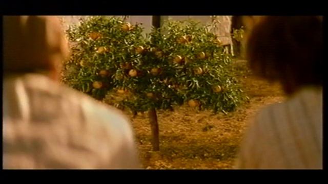 ITV1 Meridian: Adverts Sunday 28th August 2005 смотреть онлайн