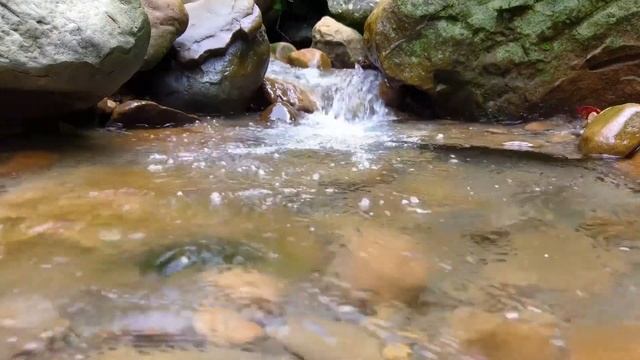 Экшн камера Rekam A320 - тестовое видео