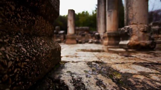 1000 Лет Это Скрывалось От Людей в Дереве! смотреть онлайн