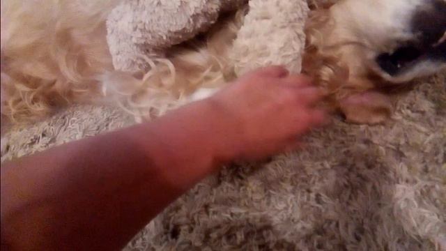 Боль живота буси смотреть онлайн