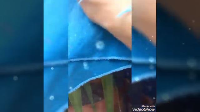 Как легко помыть окна до блеска. смотреть онлайн