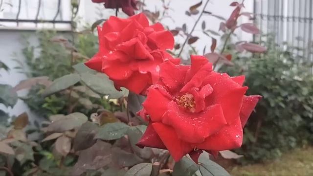 Секреты Умелых Рук