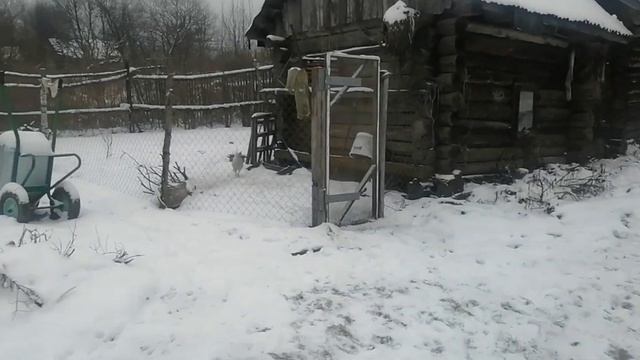 Видео обращение к нашим зрителям смотреть онлайн