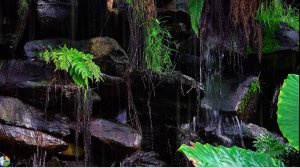 Очень Красивая и Расслабляющая Музыка для спокойствия и отдыха