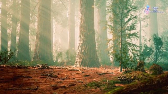 Вега #Вега #поточныестихи #звездаВега #Весталия #школаСорадение смотреть онлайн