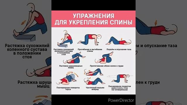Упражнения для укрепления спины