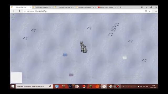 CatWar.  Что это такое?