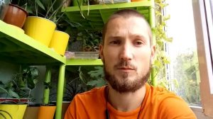 Полив цитрусов. Как правильно поливать различные цитрусовые растения