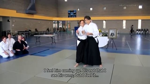 Lessons from the "Zone Theory of Aikido" -- Shomenuchi Iriminage смотреть онлайн