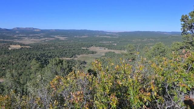 Leupold BX-4 Pro Guide 10x42 Binoculars And RX-2800 TBR Rangefinders, FULL REVIEW