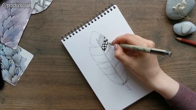 Как нарисовать перо. Урок Зенарт смотреть онлайн