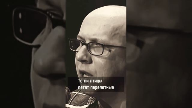 То ли птицы летят перелетные, то ли крысы бегут с корабля - Воскресенье #сапунов #воскресенье смотреть онлайн