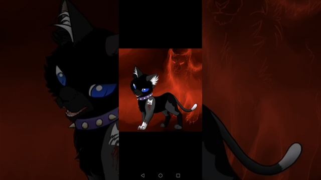 Коты-воители бич песня Я потерял контроль свободу он обрёл смотреть онлайн