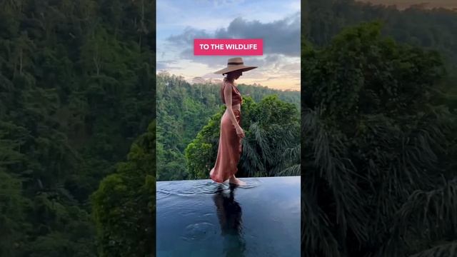 What $1,000 gets in Bali ? #travel смотреть онлайн