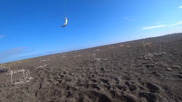 Сахалин, рыбалка на Птичьем озере смотреть онлайн