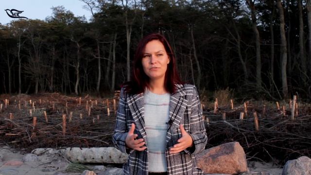 Елена Касьян - ПИСЬМА К ТЭЙМИ (письмо 2) (Марина Румянцева) смотреть онлайн