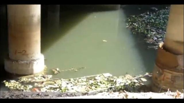 Disappearing River Part 5: How Black is the Dragon? смотреть онлайн