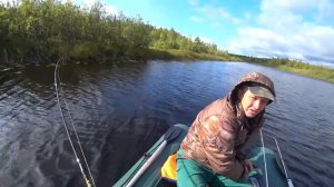 Реки Водла и Шалица. Рыбалка в Карелии. День второй.