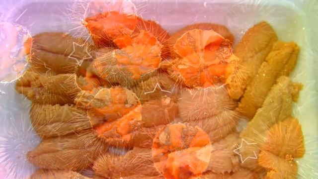 Полезные свойства Морского ежа(Echinoidea) смотреть онлайн