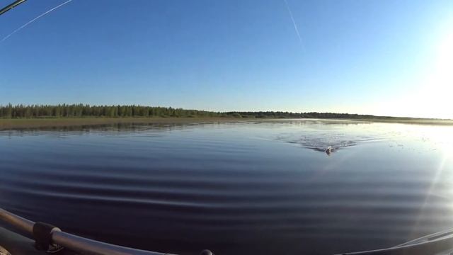 Рыбалка на озере с утра. Щука напугала, бросилась прямо возле лодки смотреть онлайн