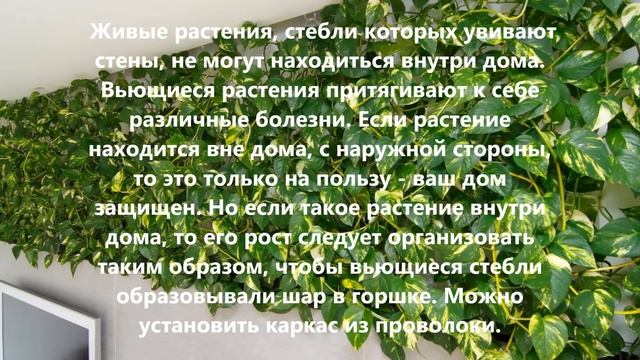 Что нельзя иметь в доме. смотреть онлайн