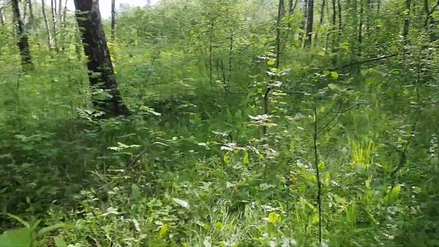 Чёрная икона. Как правильно избавиться от нее. смотреть онлайн