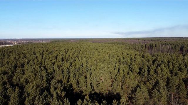 Брянский лес осенью. Autumn forests of the Bryansk region смотреть онлайн