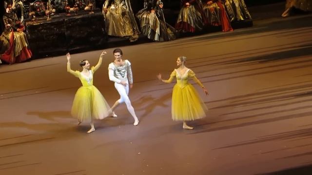 R. Skvortsov / Y. Andrienko / A. Vorontsova - Swan Lake смотреть онлайн
